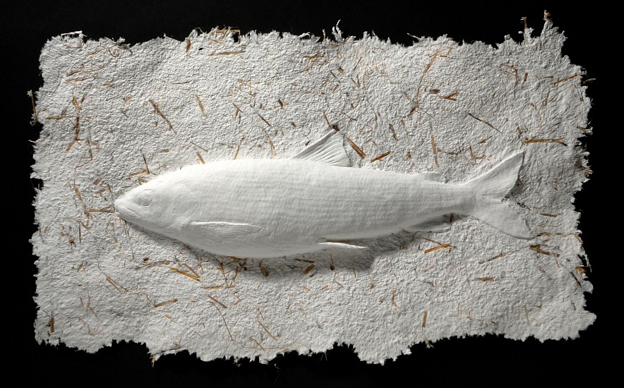 Lonnie Hutson, Bonneville Whitefish
2013, Cast Cotton Paper/ Plant Fiber