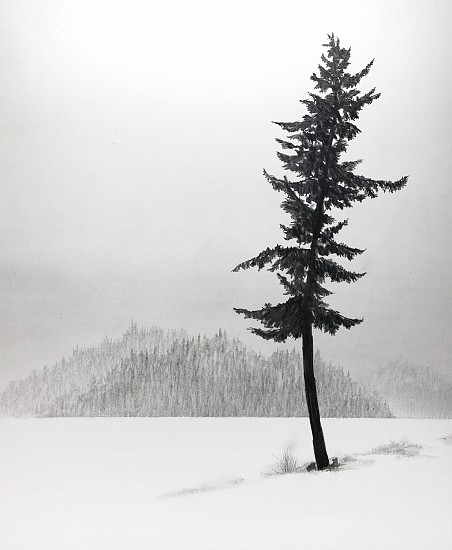 Doug Fluckiger, Solstice
2020, graphite