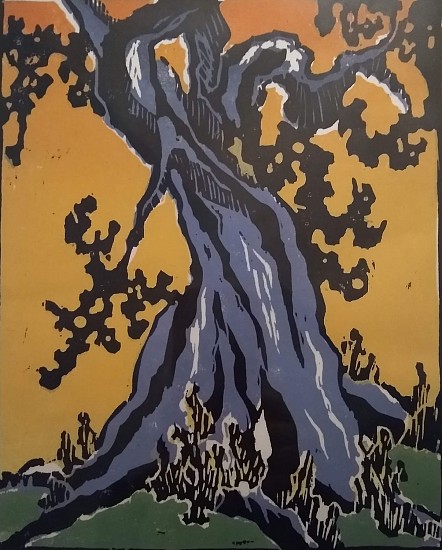 Carol Rufenach, Olive Tree I
2012, woodcut
