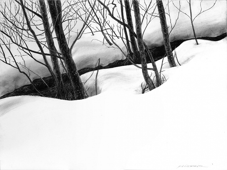 Doug Fluckiger, Danse des Neiges (Alders in the Snow)
2021, graphite on paper