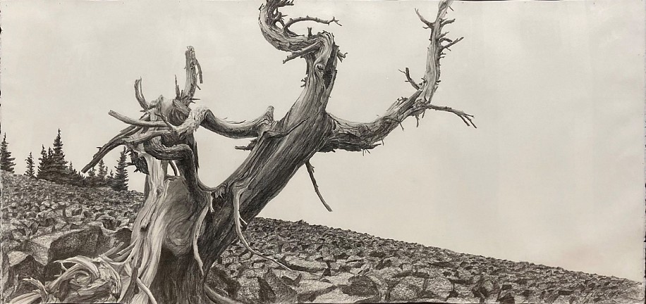Doug Fluckiger, Prometheus
graphite on paper