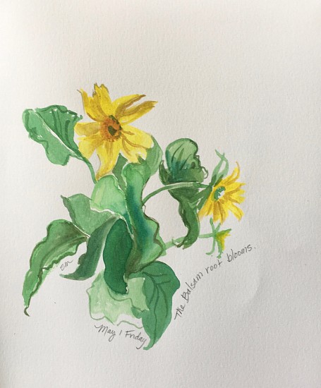 Sally Machlis, Watercolor Isolation Series-May 1
2020, watercolor