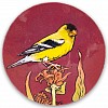 treetop crow treasure dish