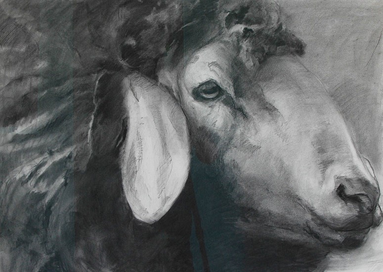 Claudia Pettis, Portrait of Dark Fleeced Ewe
2022, Charcoal and wax on archival French handmade paper