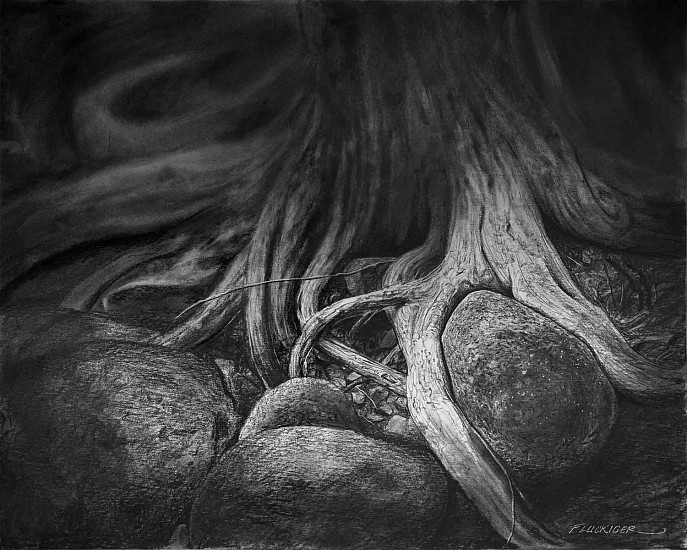 Doug Fluckiger, Liquid Bones
2022, graphite