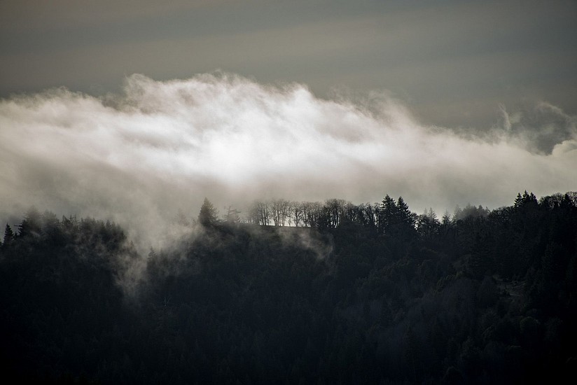 Robert Poe, Coastal Fog Meets Tree-Lined Ridge
2022, photography on canvas