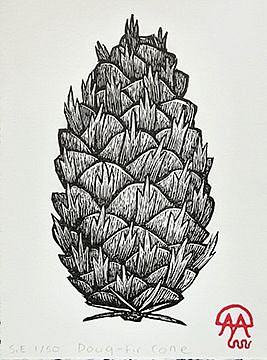 David Miles Lusk, Doug Fir Cone
2021