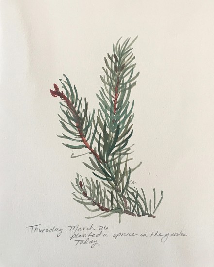 Sally Machlis, Watercolor Isolation Series-March 26
2020, water color