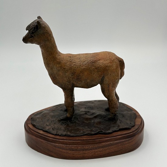 Jane Morgan, Paquita (Alpaca)
2021, bronze