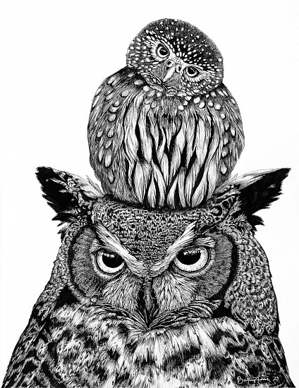 Brittany Finch, Unlikely Friends/ Great Horned Owl and Pygmy Owl
2023, ink on paper