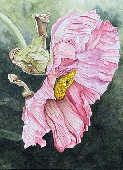 Allan Joubert, Don't Make Me Blush
2023, Watercolor, 300lb cold pressed 100% cotton