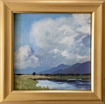 bpark 0014 summer storm