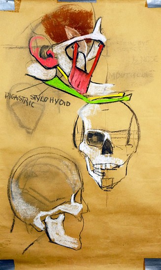 Peter Cox, Stylohyoid
2017, Pastel and charcoal on paper