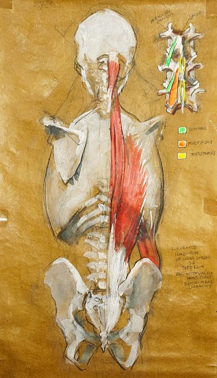 Peter Cox, Spinal Erectus
2017, Pastel and charcoal on paper