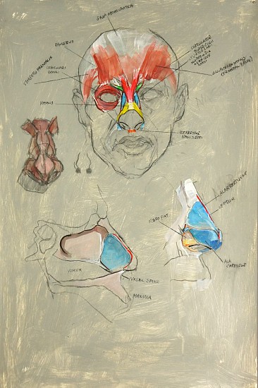 Peter Cox, Anatomy of the Nasal Structure
2017, Pastel and charcoal on paper
