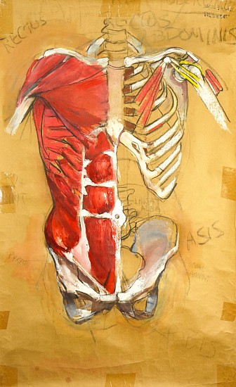 Peter Cox, Anatomical Torso
2017, Pastel and charcoal on paper