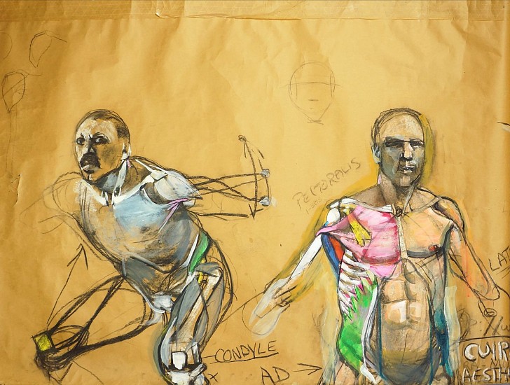 Peter Cox, Pectoralis Major
2017, Pastel and charcoal on paper