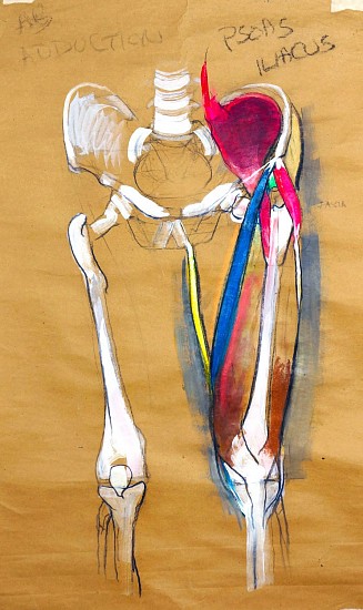 Peter Cox, Left Leg Psoas
2017, Pastel and charcoal on paper