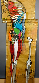 cox 0086 long profile torso & leg