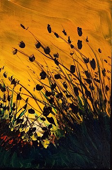 STEHR 0019 Fortitude