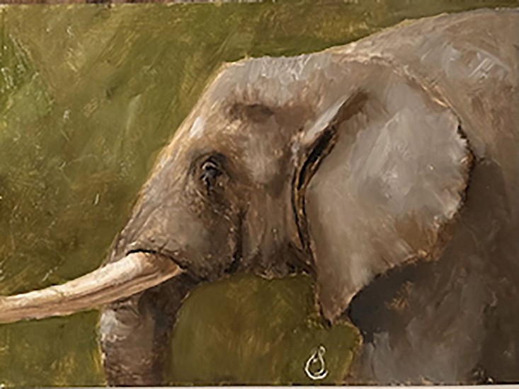 Erin Schulz, Elephant
2023, oil