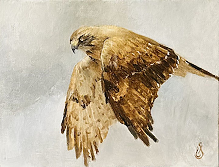 Erin Schulz, Hawk
2023, oil