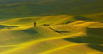 FRIT 0003 Palouse Silhouette (2)