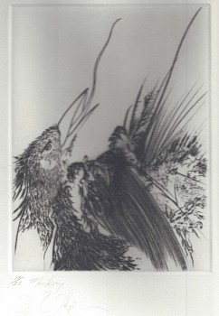 boy 0059 mockery edition17 of