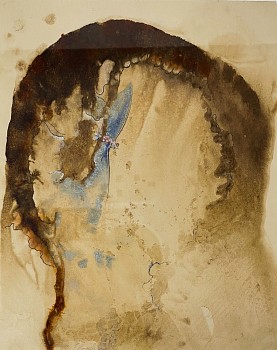 boy 0176 moth drawing