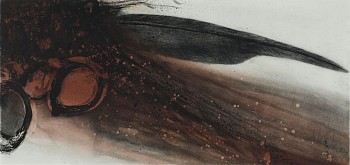 boy 0051 e feather at sandlake wash