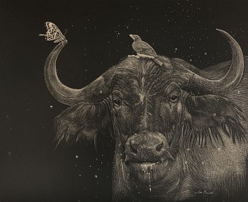 baird morning showers 8x10