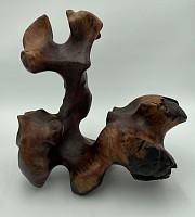CARP 0020 Untitled Rough Dark Color, 2022