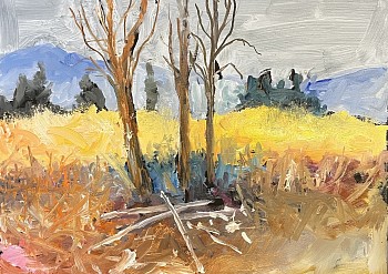 mont 0051 yes we hike here