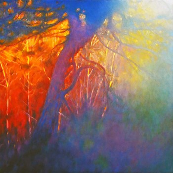 hayk 0002 ponderosa small