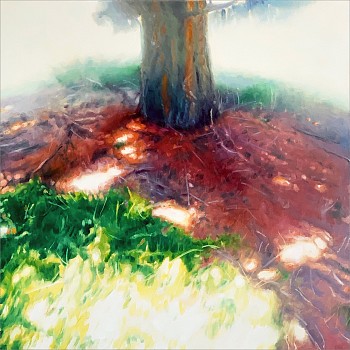 hayk 0003 ponerosa pine 24x24 inches copy