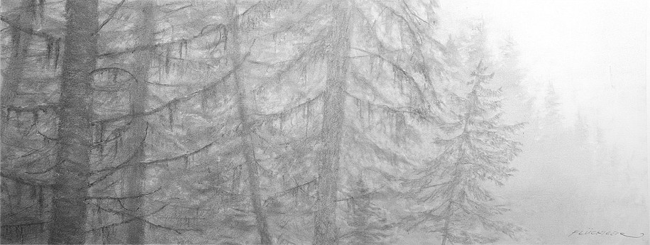 Doug Fluckiger
graphite on board