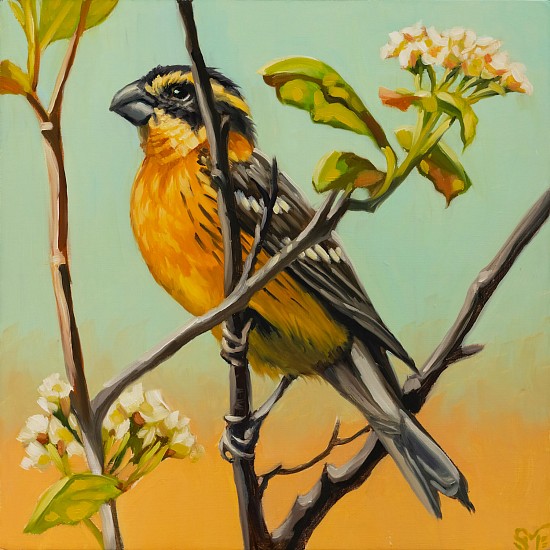Sheila Evans
oil