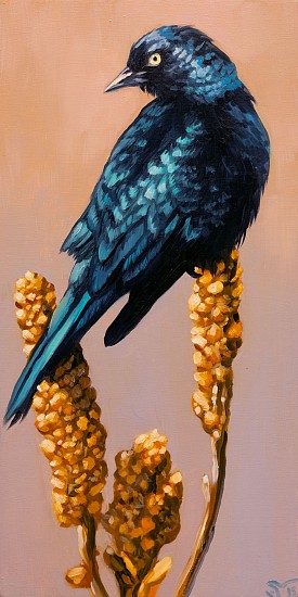 Sheila Evans
oil