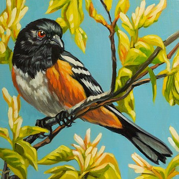 eva 0187 garnet gaze sm