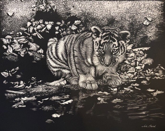 Jan Baird
scratchboard