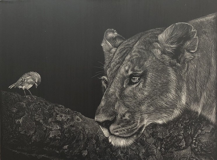 Jan Baird
Scratchbord