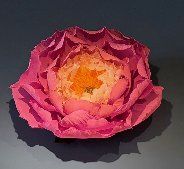 Shawna Arine, Peone Wall Flower
paper