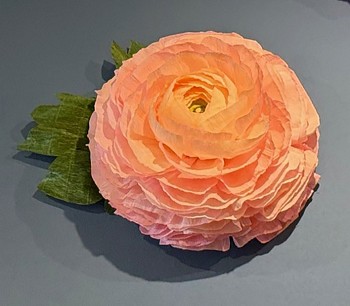 ARIN 0002 Ranunculus Wall Flower