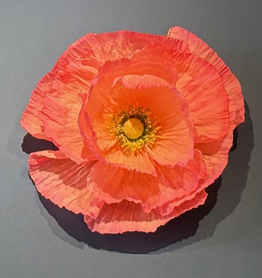 Shawna Arine, Poppy Wall Flower
paper