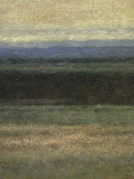 bas 0049 beyond the meadow before the trees