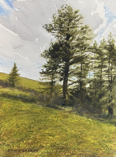 Erin Cassetto, Livin' in Steep Country
2025, Watercolor on Arches Rough 300 lb cold press