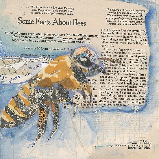 Jacquie Masterson, Bee Facts
2024, paper collage on a wood panel