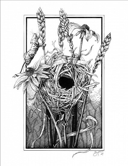 Brittany Finch, Harvest Nest
2025, ink on paper