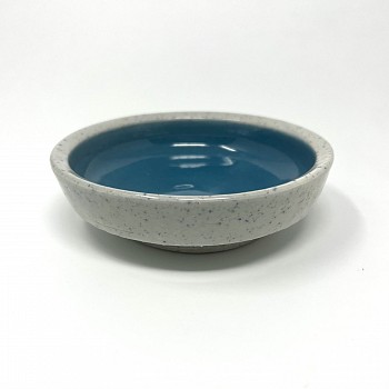 fishk 0119 shallow bowl.jpeg