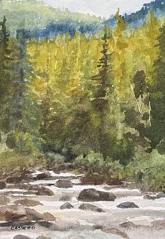 cas 0044 going with the flow